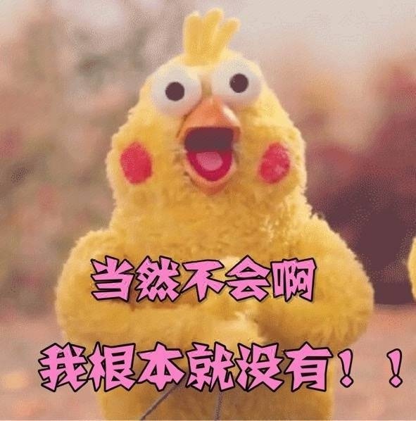 你的表情不痛良心表情鹦鹉包图狗咬吕洞宾图片