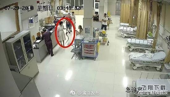 抓活蛇看急诊是怎么回事 为什么要抓活蛇看急诊_52z.com 抓活蛇看急诊是怎么回事 为什么要抓活蛇看急诊_52z.com