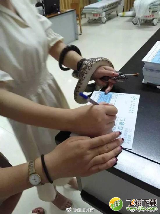 抓活蛇看急诊是怎么回事 为什么要抓活蛇看急诊_52z.com 抓活蛇看急诊是怎么回事 为什么要抓活蛇看急诊_52z.com