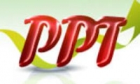 PPTԶ