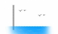 ³ˮͳ