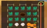 Ӹԭ11ͨع