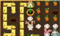 Ӹԭ24ͨع