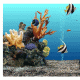 海底世界动态屏保_3d海底世界屏保