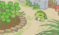 ô׬Ǯ ׬ǮԷ