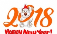2018괺ףȫ 괺ڶףȫ