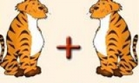 ³ֻϻһִһ