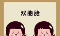 双胞胎疯狂猜成语_疯狂猜成语答案及图片