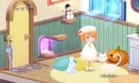 ·СèţStray Cat Doors3ͼĹ