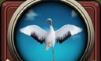 ĶԾ׺ῨƼһ