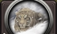 ĶԾ翨Ƽһ