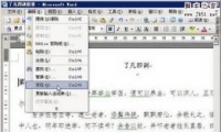 Word2003νıλ