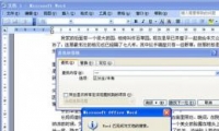 Word2003ô滻