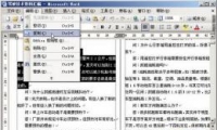 word2003θճı