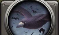 ĶԾѻƼһ