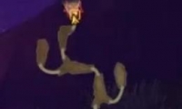 ֮Ͽȸ