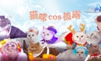 ˲ ƻècos¶