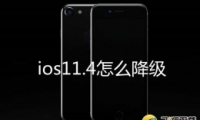 ƻios11.4ϵͳ̳