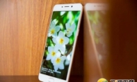 ŵX6ͼ3ֻԱʵ