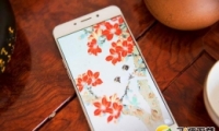 r1ͻΪp20proֻԱʵ