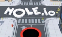 hole.ioϷ淨