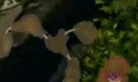 ֮Сħ˯֮ظ
