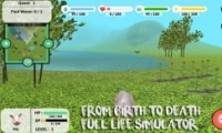 the pig simulator2Ϸ淨