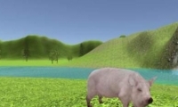 ģϷthe pig simulator2淨