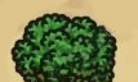 ڰʳȡ
