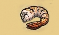 ڰʳĺϺȡ