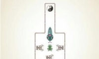 ΢11ͨع