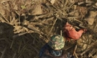 (SCUM)ô λý