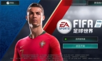 FIFAÿϵͳ   ڲ촫