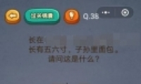΢šԳԼ38ͼĹ