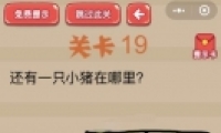 ΢šԶ󿪡19ͼĹ