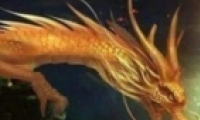 벻棺˴˵ǧ˲λ÷/ý