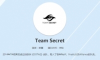 DOTA2Team Secretսһ