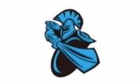 DOTA2NewbeeսϽ