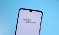 100ֽô 100ֽ