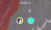 soulΪѷ̳