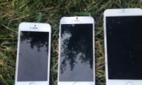 iPhone 6
