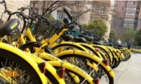 ofo˦칫ô ofo˦칫ʲô