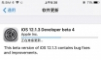 ƻiOS 12.1.3 Beta 4һ