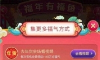 2019èи㼯