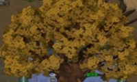 ˲ģ