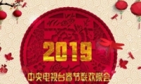 2019괺Ա