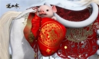ˮ2019ͼչʾ