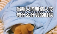 2019ͷͼƬȫ