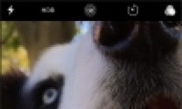 ƻiphone΢д̳