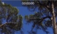 ƻiphone¼ʱץƬ̳